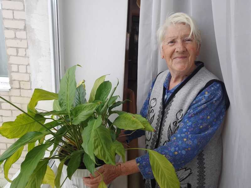 Какие домашние цветы подходят для пожилых людей