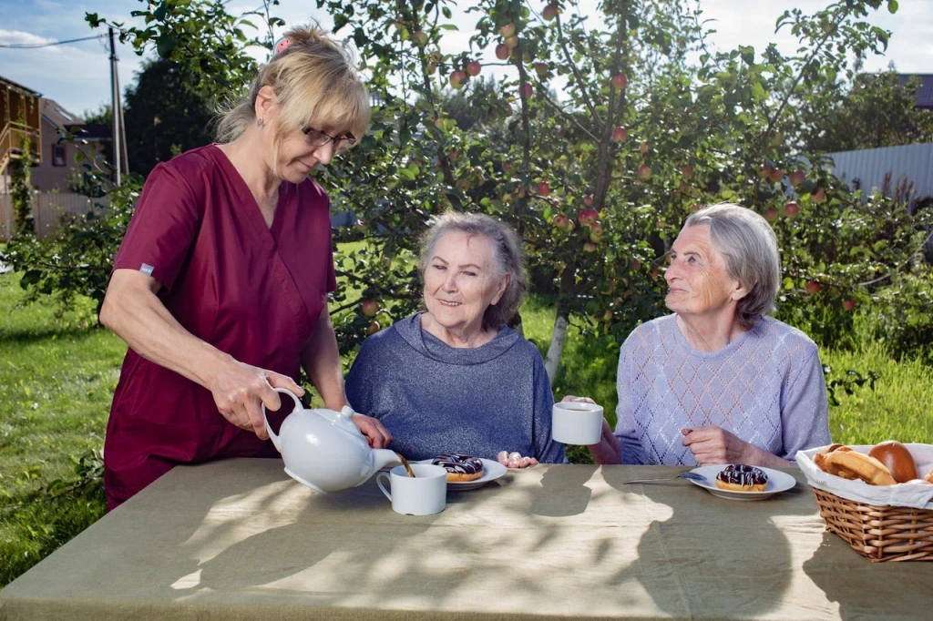 Льготные пансионаты для пожилых людей: комфортная старость с государственной поддержкой